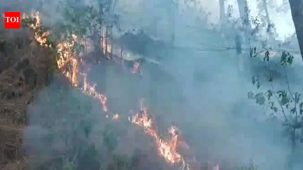 J&amp;K: Days-long forest fires ravage Rajouri, wildlife enters residential areas