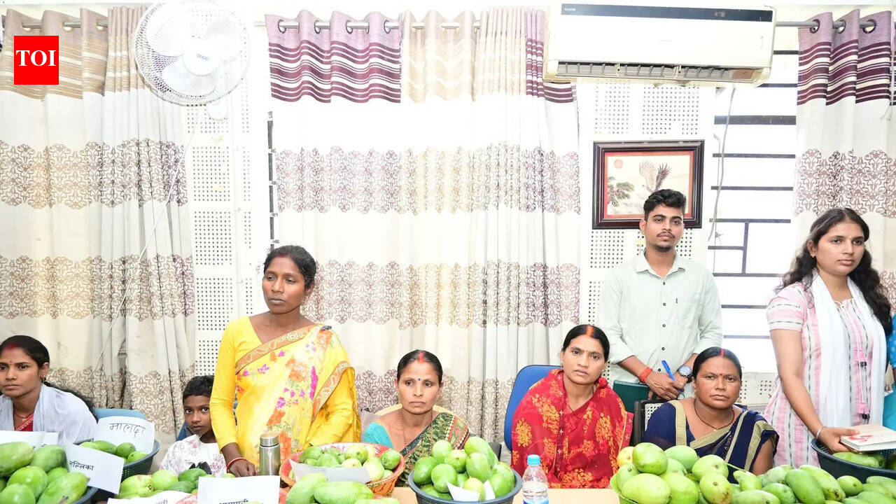 Mango growers, buyers agree on quality-based pricing in Chatra