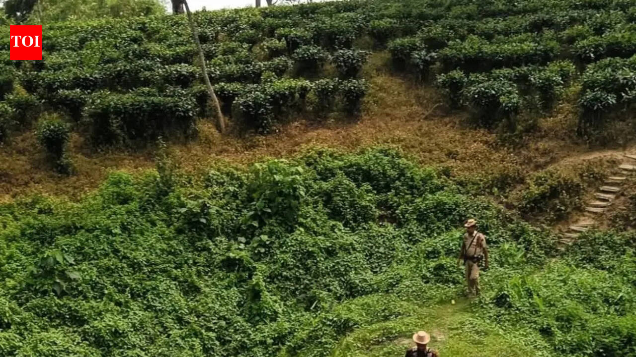 Sivasagar police intensifies border vigil amid rising Ulfa-I activities