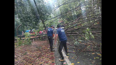 Hailstorm, heavy rain batter Uttarakhand; rail ops disrupted, crops, property damaged