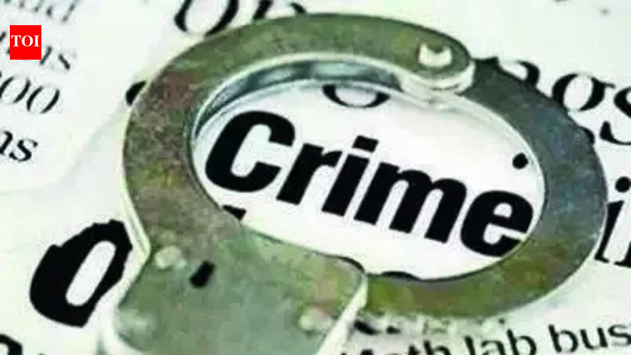 Police to probe attack on woman