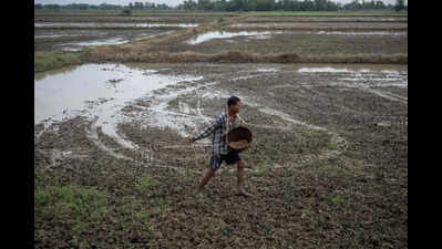 Agri ministry introduces mobile app for online fertiliser booking to keep check on black marketing