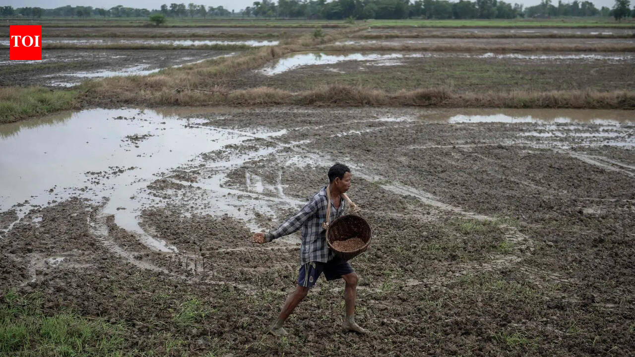 Agri ministry introduces mobile app for online fertiliser booking to keep check on black marketing