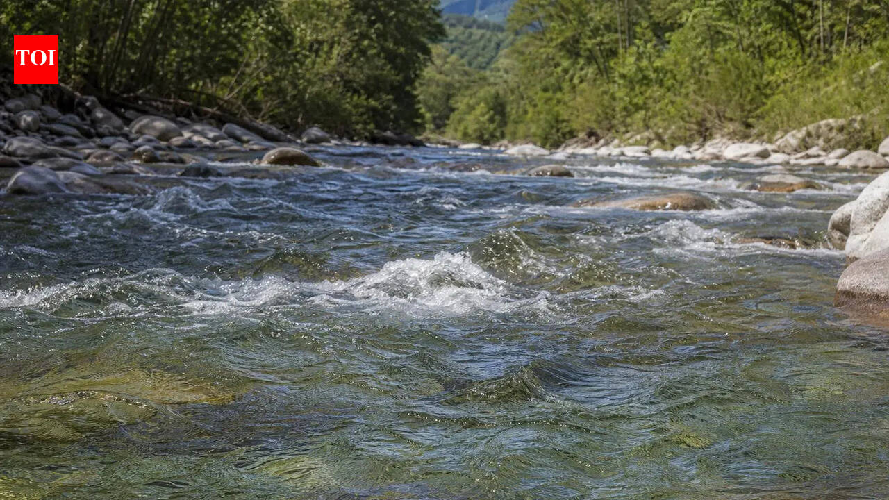 WRD starts process of securing environmental clearance for Nar-Par-Girna river-linking project