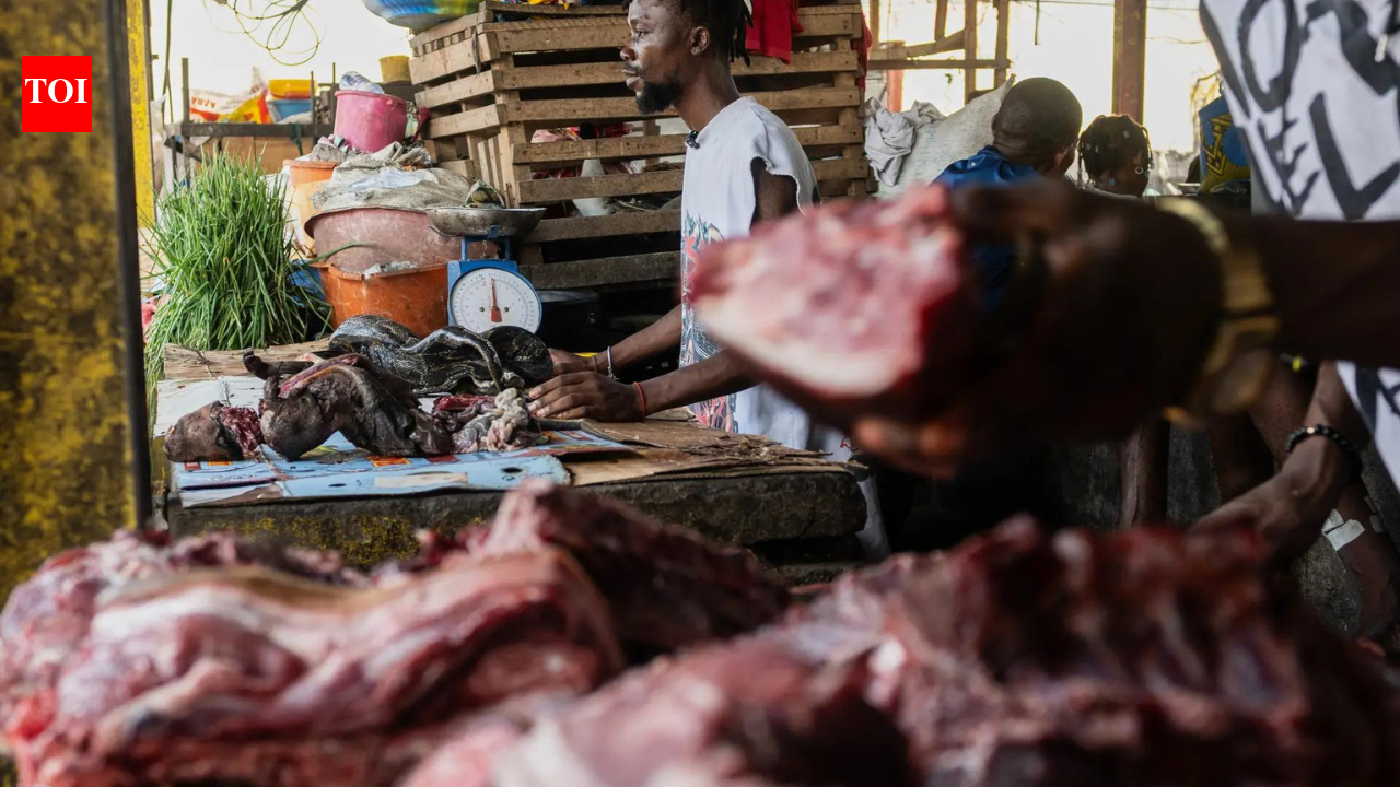 As Ebola scourges Congo, experts warn of link to eating wild animals