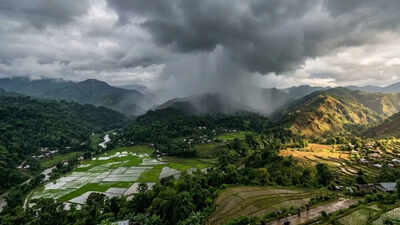 Normal monsoon forecast promises relief; farm gains for Northeast