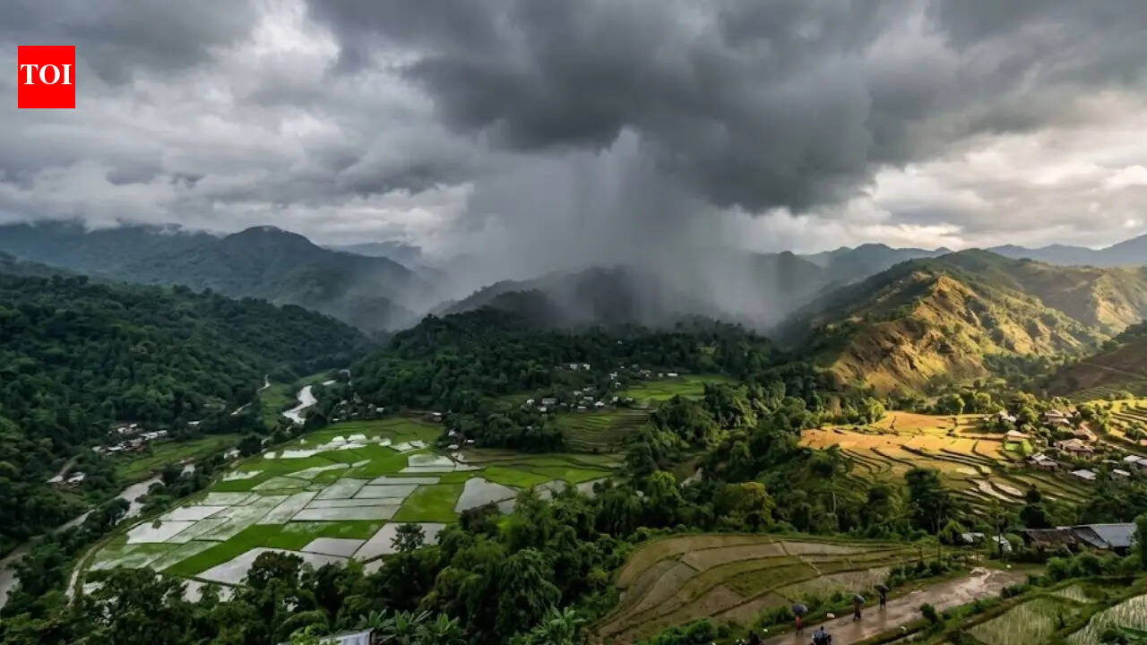 Normal monsoon forecast promises relief; farm gains for Northeast