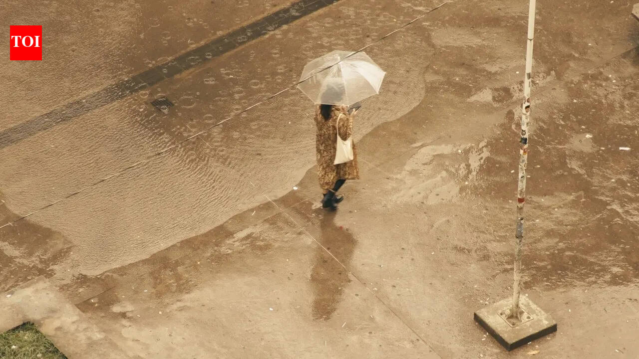 From Delhi to Kerala: IMD forecasts rain, hail and thunderstorms across these Indian states; what travellers need to know