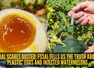 'Plastic' eggs and injected watermelons? FSSAI busts two viral food myths in one go