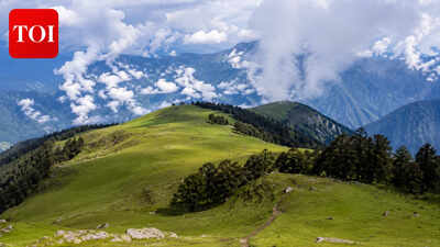Female tourist goes missing during Dayara Bugyal trek; search operations underway