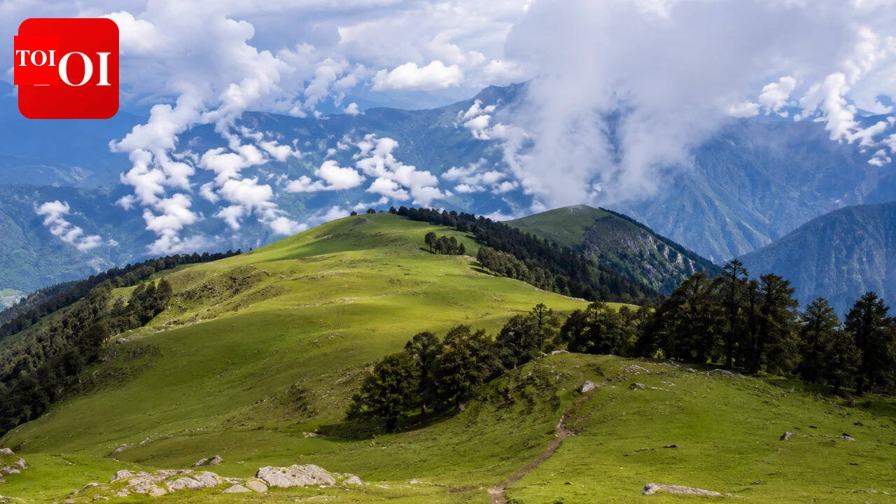 Female tourist goes missing during Dayara Bugyal trek; search operations underway