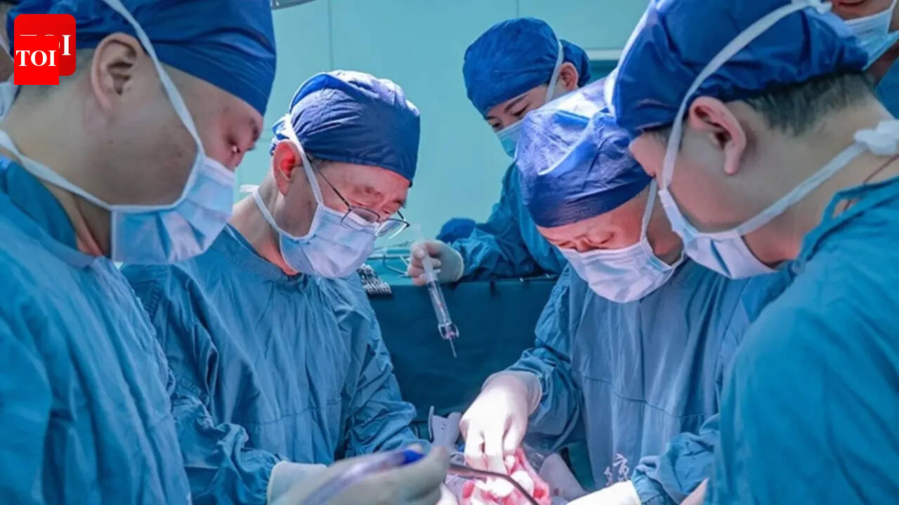 Could pig organs transplant end the donor crisis? First human receives pig liver and kidneys in China