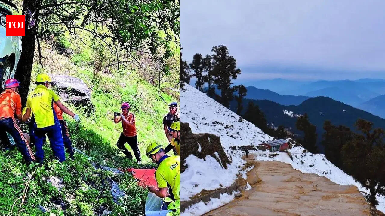 Two brothers die in lightning strike while trekking to world’s highest Shiva temple