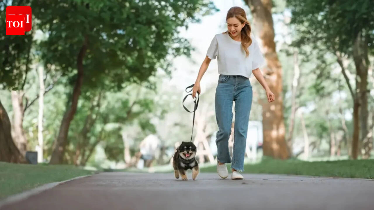 Micro walks, major benefits: Harvard expert explains why short walks throughout the day work better than big steps