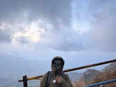 Proud dad Sanjay Gupta celebrates son Shivaansh&rsquo;s Kalsubai trek success