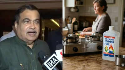  Can it replace LPG stoves?