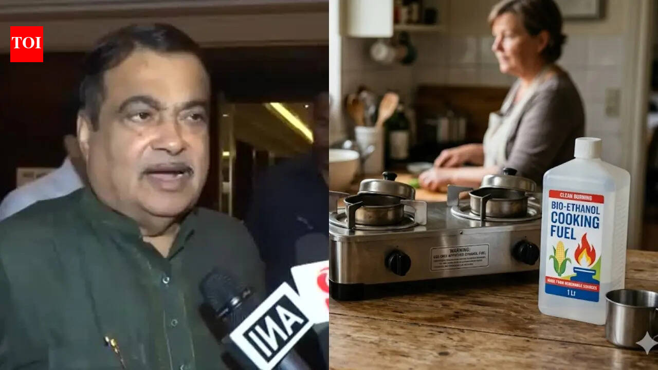 Nitin Gadkari unveils ethanol-based stoves: Can it replace LPG stoves?