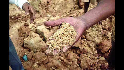 Lokayukta cops bust massive illegal sand mining network