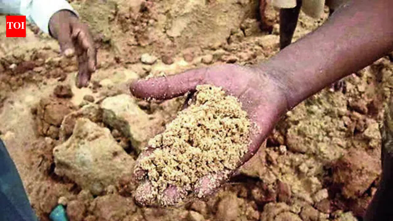 Lokayukta cops bust massive illegal sand mining network