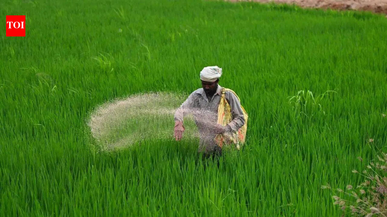 Agri dept warns of crackdown on fertiliser overpricing in Kalaburagi