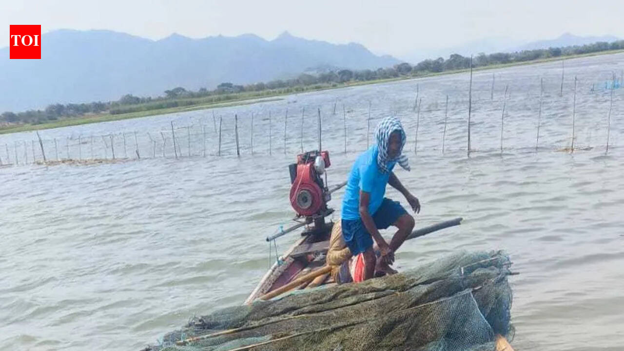 Special drive evicts 2.4k acres of illegal prawn gheries from Chilika