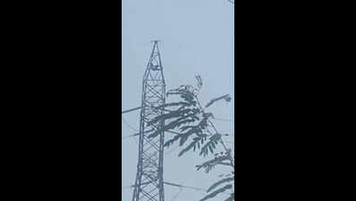 Drunk man dies after falling from high tension tower near Uthangarai