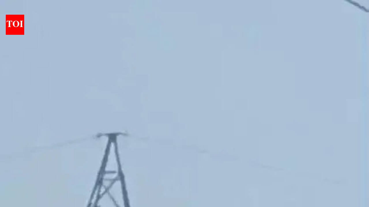 Drunk man dies after falling from high tension tower near Uthangarai