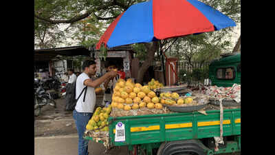 Mango prices ease in Jaipur as supply rises, more varieties to arrive next week