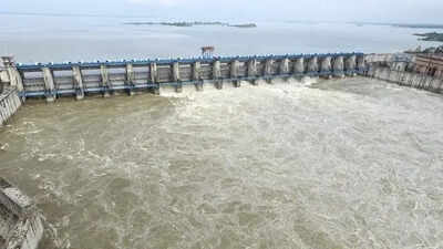 Rajasthan clears DPR for ₹7,893-cr Brahmani–Bisalpur water link