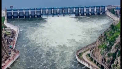 Rajasthan clears DPR for ₹7,893-cr Brahmani–Bisalpur water link