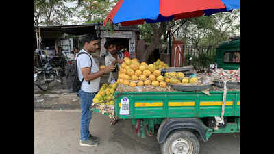 Mango prices ease in Jaipur as supply rises, more varieties to arrive next week