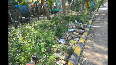 Residents seek footpaths, service lanes and drainage overhaul on Dharam Marg in Gurgaon