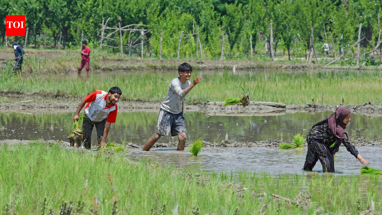 Government braces for a tough sowing season ahead