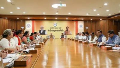 BJP squad  meets astatine  PM location   to finalise RS, MLC canvass  picks