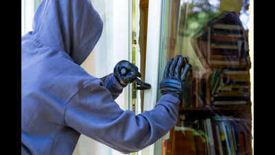 Crime data report: Daylight break-ins a concern in Ludhiana, but burglaries drop to a 7-year low.