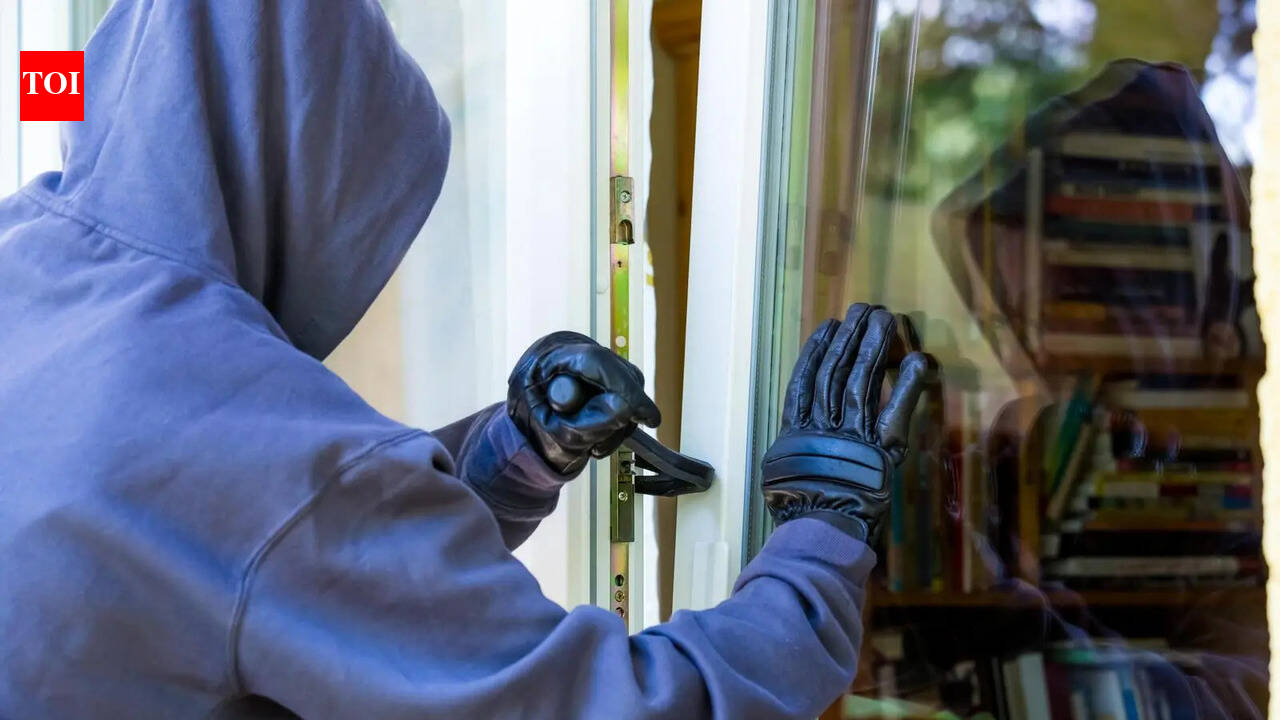 Crime data report: Daylight break-ins a concern in Ludhiana, but burglaries drop to a 7-year low.