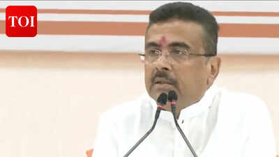  BJP balances old-versus-new, regional aspirations<b></b>