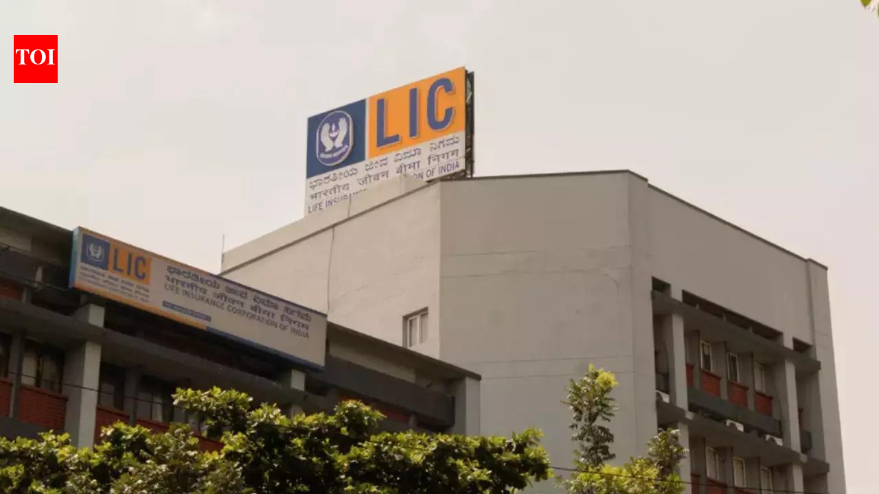 LIC weighs foray into fintech space, strategic investment on table