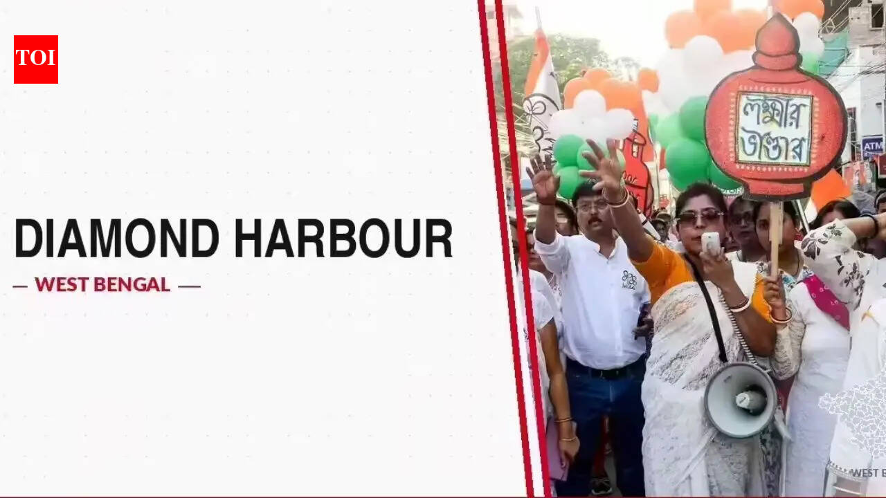 Bengal's Diamond Harbour municipal board gets dissolved as 9 TMC councillors quit