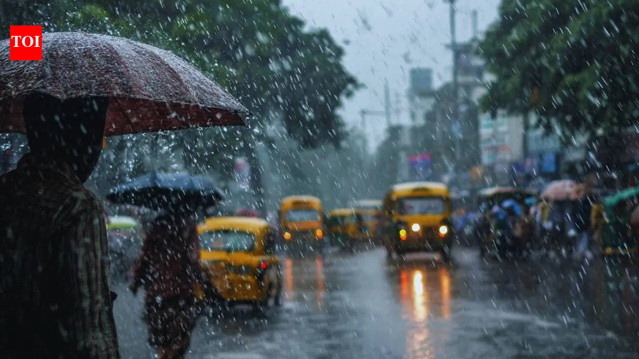 Where is it raining in India? IMD warns of heavy rain in key tourist destinations; what travellers need to know