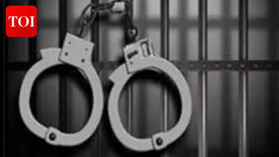 Meerut police arrest suspect in missing woman Anushka's alleged murder, body found in drain