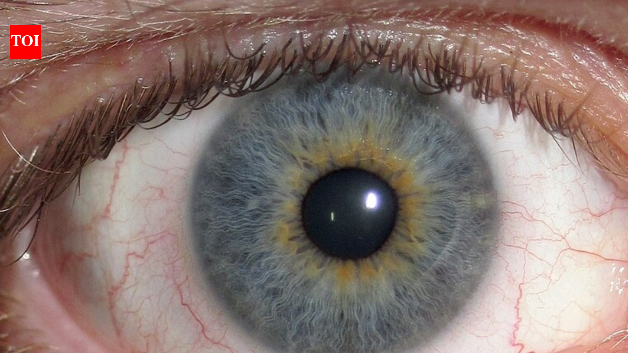 Humans unlike other animals have weirdly white eyes: Here’s why