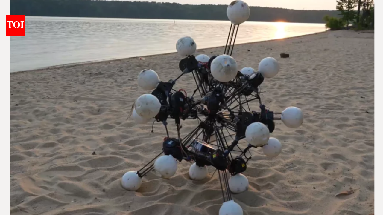 Meet Argus: The sea-urchin robot with 20 eyes and legs that has rewritten the rules of how a robot should be built