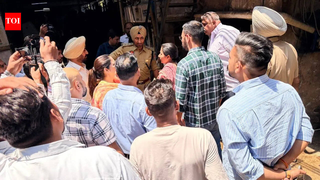 3 die, 2 taken ill after inhaling toxic gas in Ludhiana sewage tank