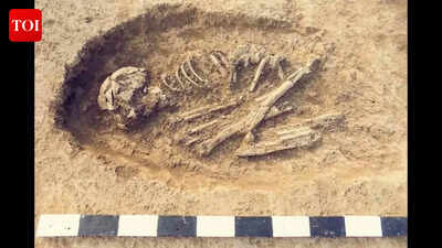 Japan’s earliest ‘humans’ may not have been human after all: New study rewrites what we know about the first inhabitants