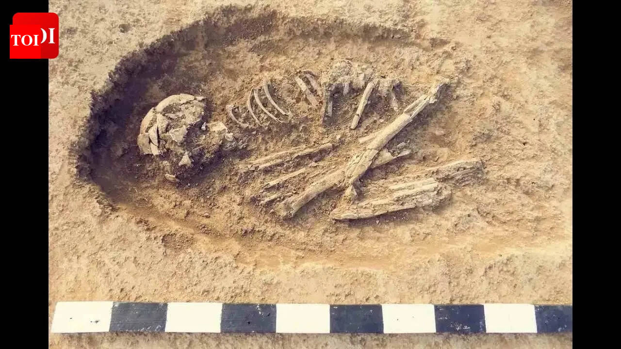 Japan’s earliest ‘humans’ may not have been human after all: New study rewrites what we know about the first inhabitants