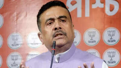 '30 lakh fake accounts': West Bengal govt orders SIT probe into Lakshmir Bhandar scheme