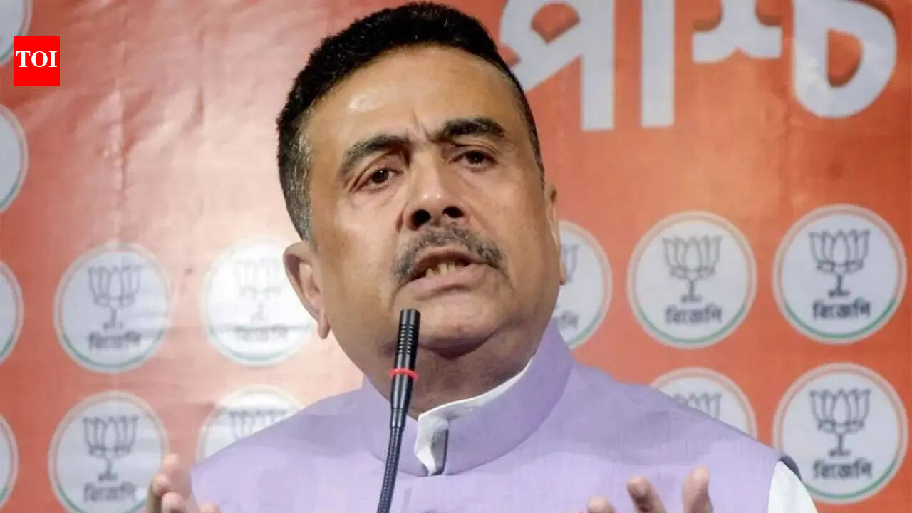 '30 lakh fake accounts': West Bengal govt orders SIT probe into Lakshmir Bhandar scheme