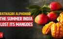 What Happens When Climate Change Reaches India's Most Beloved Fruit?