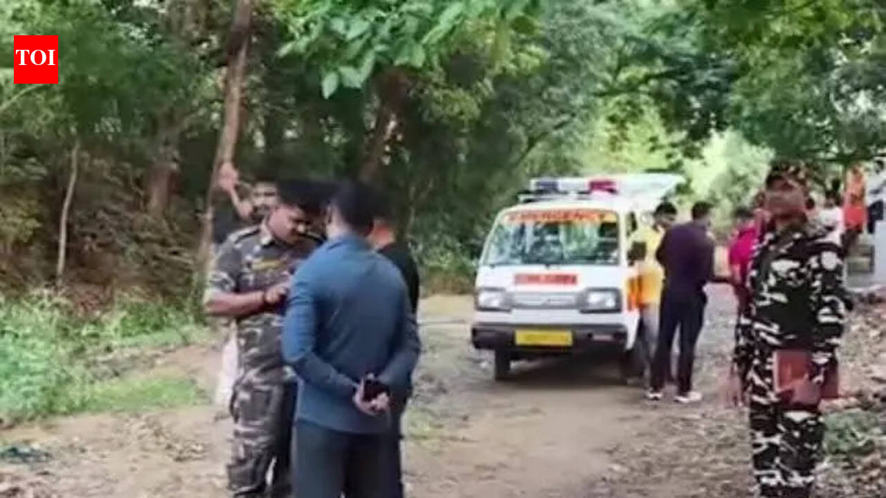 Mutilated body of missing girl found; toddler brother yet to be traced
